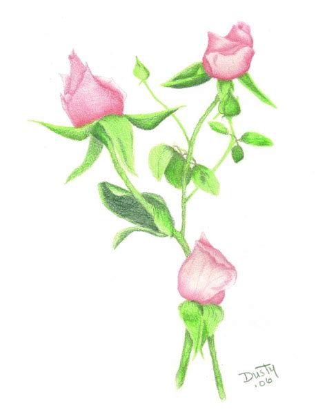 Rose Bud Drawing at GetDrawings | Free download