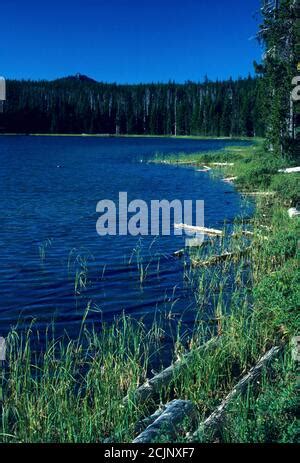 Mt Thielsen Umpqua National Forest Oregon Stock Photo Alamy