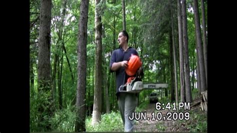 Cutting Down Dead Ash Trees In North Eastern New Jersey In 2009 Youtube