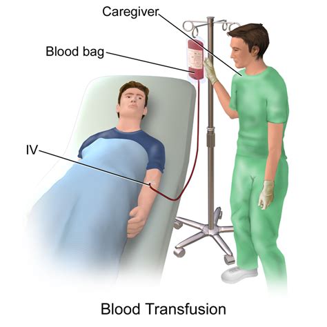 What is a blood transfusion? - AP Biology Final