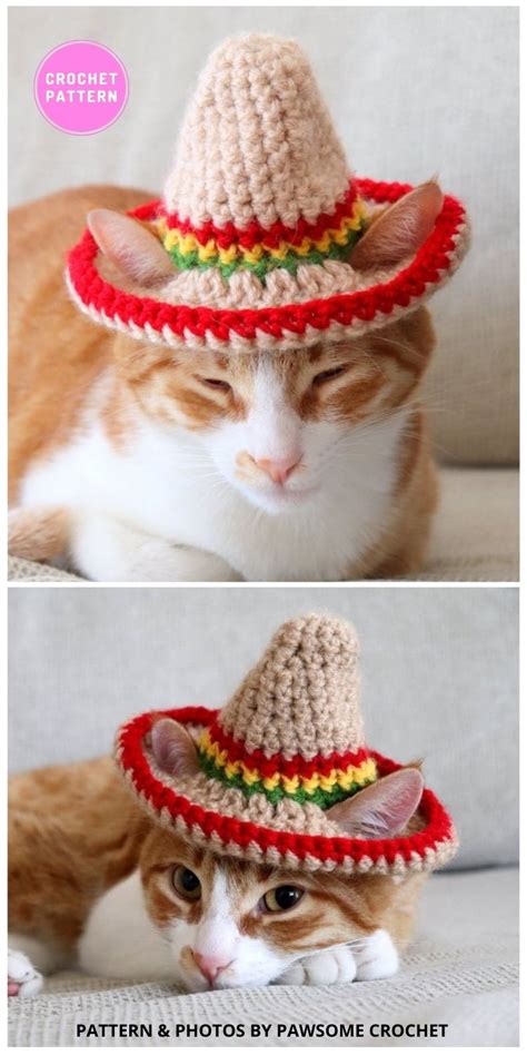 6 Crochet Hats For Cats Patterns For Your Furry Friend The Yarn Crew