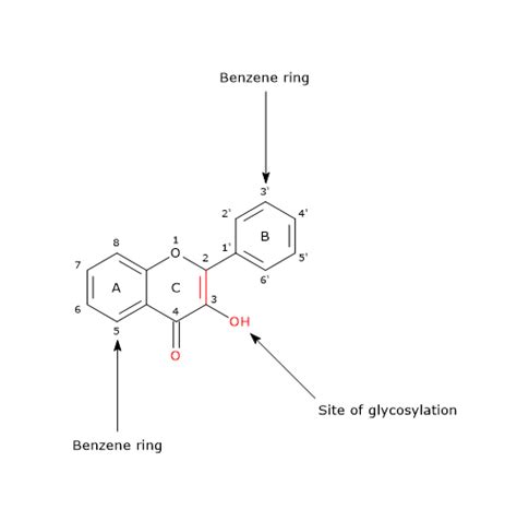 Flavonols: structure, health benefits, food sources - Tuscany Diet