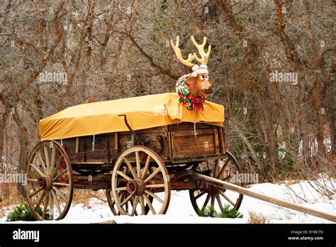 Rudolf El Reno De La Nariz Roja Fotograf As E Im Genes De Alta