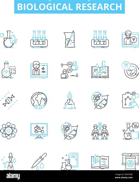 Biological Research Vector Line Icons Set Biology Research