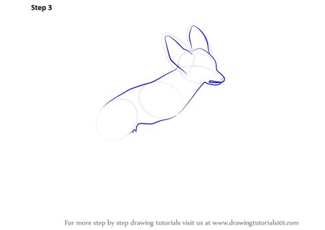 Learn How to Draw a Fennec Fox (Wild Animals) Step by Step : Drawing Tutorials