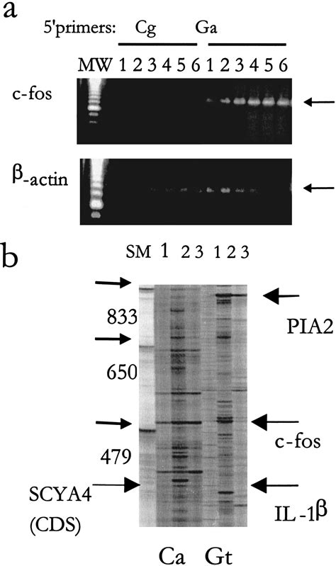 An Integrated Computational And Laboratory Approach For Selective