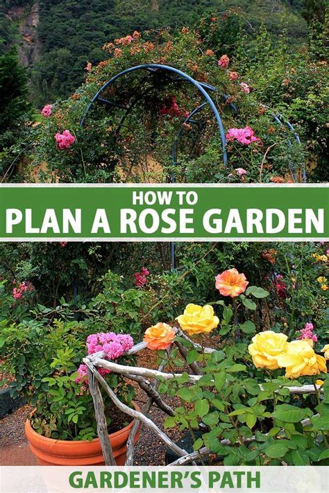 Rose garden design – Artofit