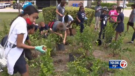 Organizations Across South Florida Help Celebrate Mother Earth On Earth