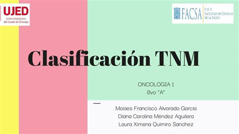 Clasificación TNM Moisés Francisco Alvarado García uDocz