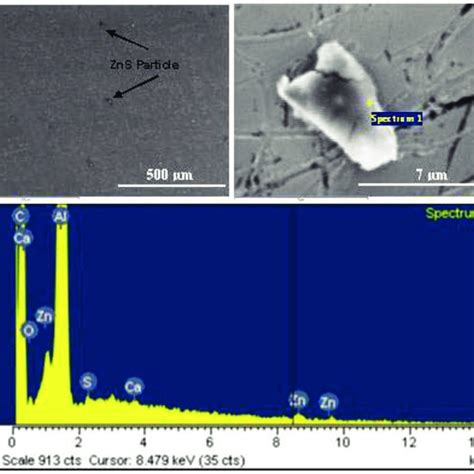 Sem Micrographs And Edx Analysis Graphs Showing The Formation And