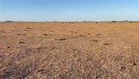 Corrientes Suman 10 Departamentos A La Emergencia Agropecuaria Por