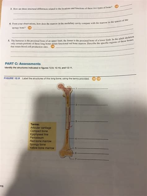 Solved How are these structural differences related to the | Chegg.com