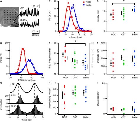 Ipscs In Ca Pyramidal Cells Of Nod And Balbc Mice Differ In Ipsc