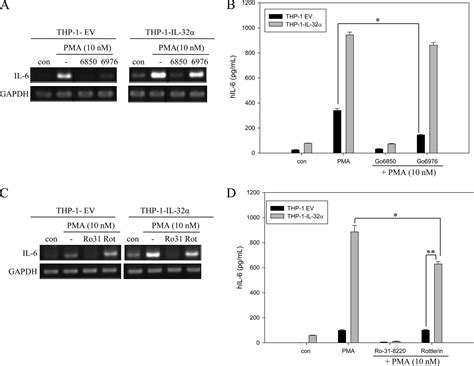 Intracellular Interaction of Interleukin IL 32α with Protein Kinase