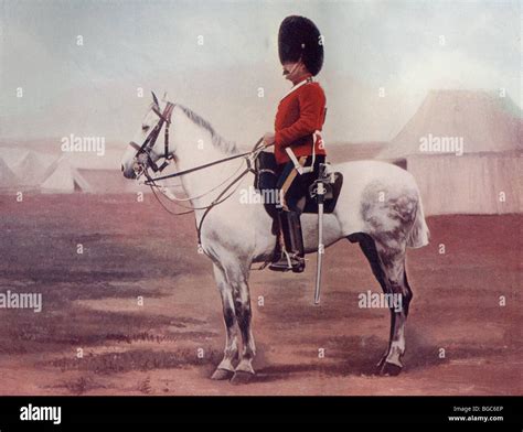 Sergeant Major Of The 2nd Dragoons Royal Scots Greys In The Late 19th