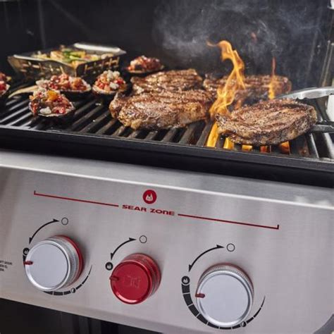 Weber Grills Genesis E Freestanding Propane Gas Grill With Sear