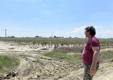 Alluvione Risorse Insufficienti Per Risollevare Lagricoltura