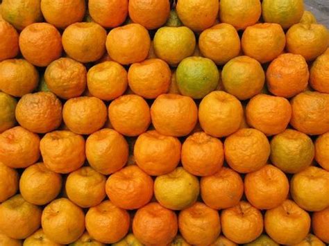 Indian Oranges At Best Price In Mumbai By J C Fruit Center Id