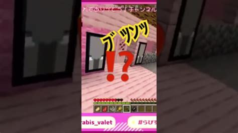 【minecraft】透明人間あらわる！？ Minecraft マイクラ まいくら Minecraft Summary マイクラ動画