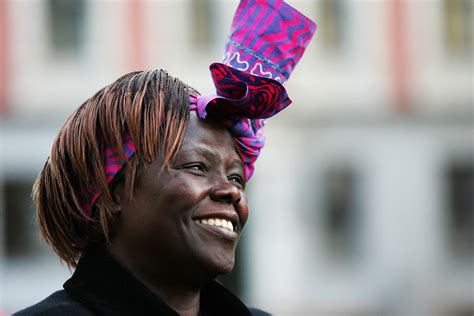 The Queen Of Trees Nobel Laureate Wangari Maathai And The Rise Of The