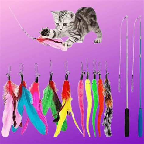 5 Cat-Approved Feather Toys: Putting The Purr In Playtime!