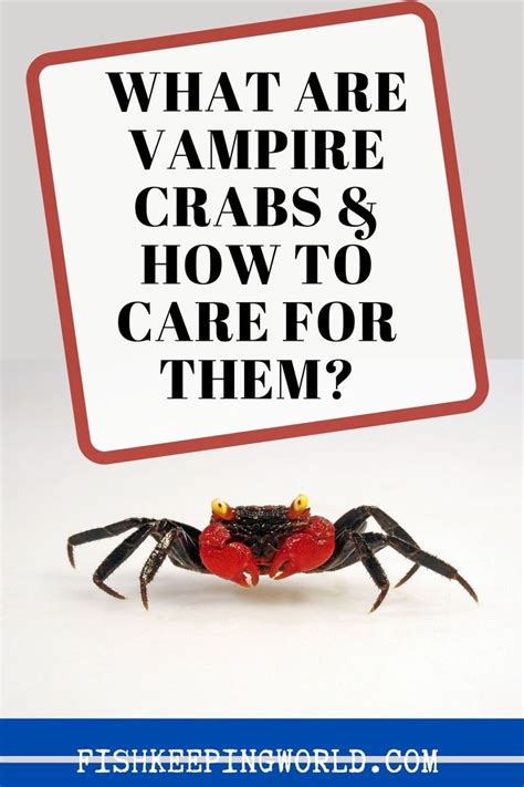 You Want Something A Bit More Original For A Tank Pet Think Vampire