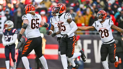 Tee Higgins Yard Catch Week Bengals Highlights Vs New England