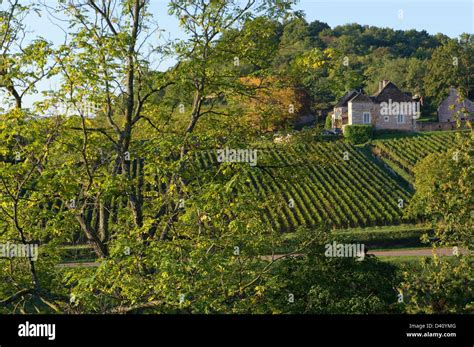 Mercurey Wine Region Hi Res Stock Photography And Images Alamy