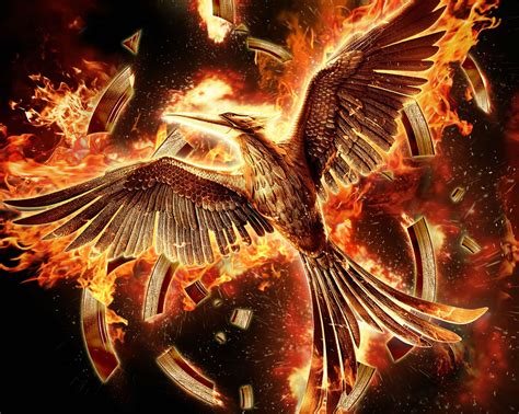 🔥 [40+] Mockingjay Wallpapers | WallpaperSafari