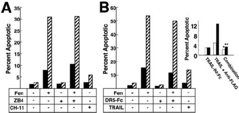 Fenretinide Triggers Apoptosis In Ov Cells Through A Crma Sensitive