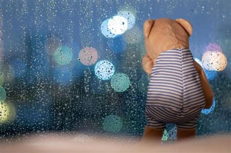 Rainy Window Stock Photos, Images and Backgrounds for Free Download