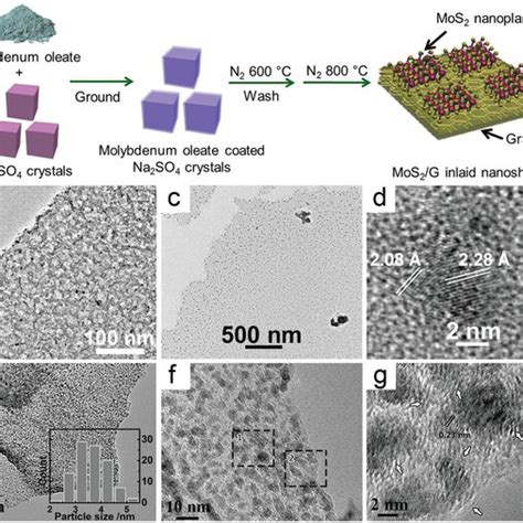 A Illustration Of The Synthesis Of D Porous Pt Gmos Hybrids B A