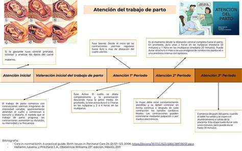 Atenci N Del Trabajo De Parto Angela Dominguez Udocz