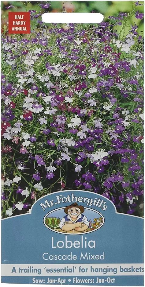 Lobelia Cascade Mixed Cowell S Garden Centre Woolsington