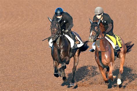 【セントライト記念追い切り】中山巧者コスモキュランダは馬なりで先着 加藤士津八調教師「できれば勝ってほしい」（東スポ競馬）｜dメニューニュース