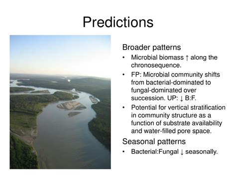 Ppt Task S7 Characterize Soil Microbial Community Composition Among