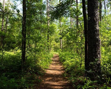 Aiken State Park - Parks Guidance