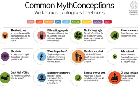 52 Common Mythconceptions Cleared Up In 1 Infographic