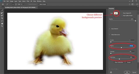 How To Apply Feather Effect In Photoshop Webtopic