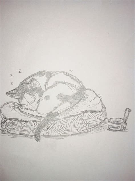 Sleepy cat