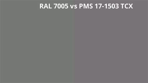 RAL 7005 Vs PMS 17 1503 TCX RAL Colour Chart UK