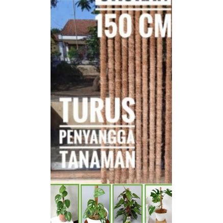 Jual Turus Pipa Penyangga Tanaman Rambat 150 Cm Turus Tanaman Hias Dan