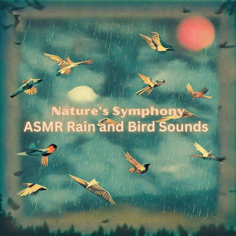 Nature S Symphony Asmr Rain And Bird Sounds For Sleep And Meditation Album By Sleep Sleep