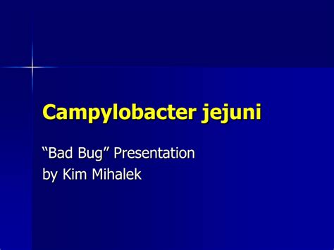 Campylobacter jejuni