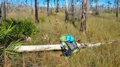 Hiking the Florida Trail | Florida Hikes