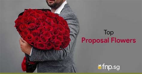 Top Five Proposal Flowers in Singapore - FNP SG