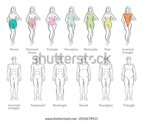 48,779 Sketch Man Body Images, Stock Photos & Vectors | Shutterstock