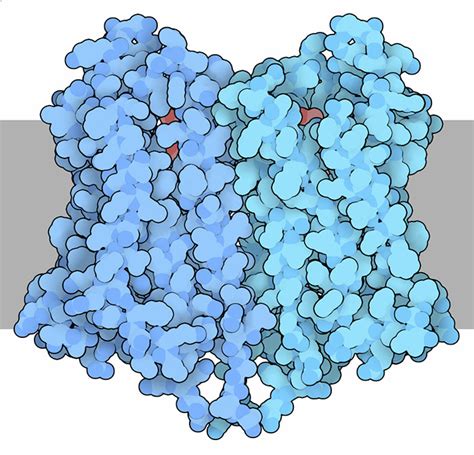 Pdb Molecule Of The Month Opioid Receptors