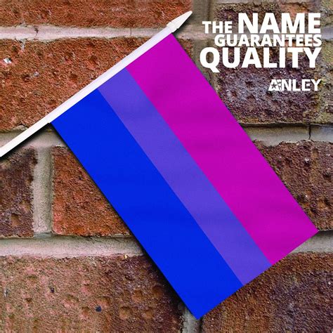 Anley Bisexual Pride Mini Flags 12 Pack Of Small India Ubuy