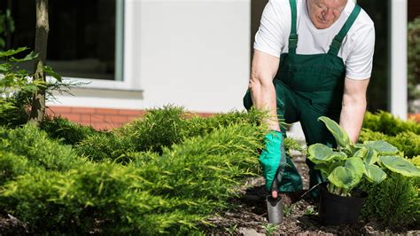 Manutenzione Giardini E Parchi I Nuovi Giardini